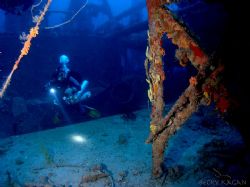 Exploring the Hydro Atlantic in 170 feet by Becky Kagan 
